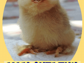 Alles Gute Zum Geburtstag