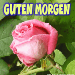 Guten Morgen