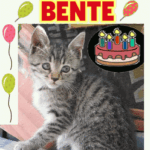 Alles gute zum geburtstag Bente