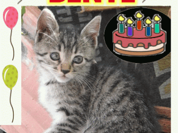 Alles gute zum geburtstag Bente