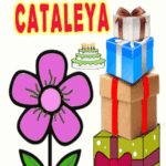 Alles gute zum geburtstag Cataleya
